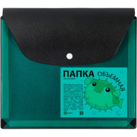 Папка-конверт на кнопке А5 пвх, с расширением 2,5см, черная/зеленая 2915/107/139