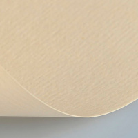 Бумага для пастели 50х65см 160г/м2 кремовая (хлопок 45%) 15011465