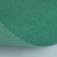 Бумага для пастели А4 160г/м2 полынь (хлопок 45%) 15723144