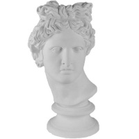 Голова Аполлона Бельведерского 25х29х60см 10-109
