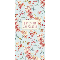 Конверт для денег "В прекрасный День Рождения" 167х83мм 0321.165