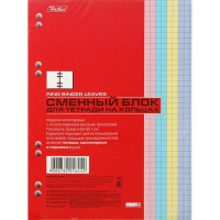 Сменный блок для тетрадей на кольцах А5 200л клетка 4-х цветный 200СБ5В1_26292/071688