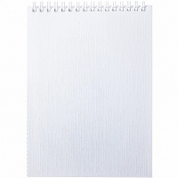 Блокнот А5 80л клетка на спирали, бумвинил металлик белый 80Б5бвВ1гр