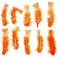 Набор перьев 100шт/уп., оранжевый Y7468-18