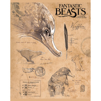 Тетрадь А5 48л клетка "Фантастические твари" на скобе матовая ламинация 5 дизайнов 48Т5лВ1/056233