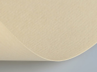 Бумага для пастели 70х100см 160г/м2 кремовая 15011565