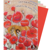 Папка д/пастели А4 8л 160г/м2 100% целлюлоза "Страна чудес.Сон в маковом поле" 4 цвета бумаги П-1868