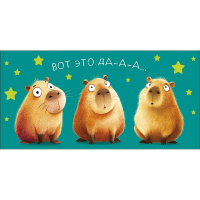 Конверт для денег "Вот это да-а-а" 167х83мм 0321.879