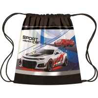 Сумка для сменной обуви "Sport car" 42х34см 1 отделение с карманом СДС-71