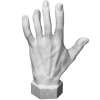 Кисть вертикальная 14х31,5х42см 20-214