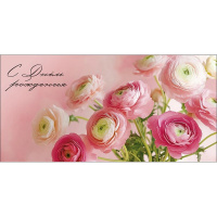 Конверт для денег "С Днем Рождения" 167х83мм 0320.792