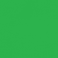 Бумага тонированная А4 300г/м2 зеленый изумруд 1л 614/1054