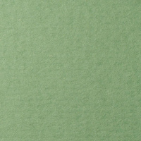 Бумага для пастели А4 160г/м2 зеленый сок (хлопок 45%) 15023143