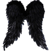 Крылья 50х40см с перьями, черные Y10183-24