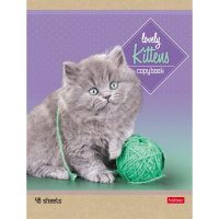 Тетрадь А5 48л линия "Котята" на скобе 5 дизайнов 48Т5В2/047012