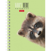 Записная книжка А6 80л "Кто здесь?" клетка, на спирали, двойная твердая обложка, 3 дизайна 80ЗК6В1гр