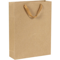 Пакет подарочный 40х30х10см крафт Y10573-24