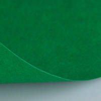 Бумага для пастели 50х65см 160г/м2 зеленая еловая (хлопок 45%) 15011457