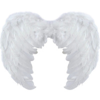 Крылья Ангела 30х40см с перьями, белые Y10179-24