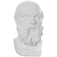 Голова Сократа 20х20х38,5см 10-103