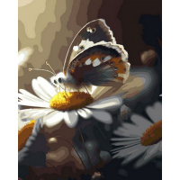 Живопись по номерам (акрил) 40х50см "Бабочка на ромашке" сложность 4, холст на подрамнике OK11374