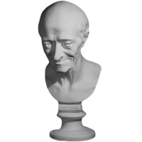 Голова Вольтера 20х20х48см 10-108