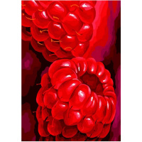 Живопись по номерам (акрил) 40х50см "Малина" сложность 4, холст на подрамнике N 00126