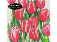 Салфетка 33х33мм 1шт Дыхание весны трехслойная 1002986