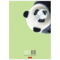 Тетрадь А4 96л клетка "Кто здесь?" на скобе матовая ламинация 3 дизайна 066192