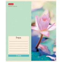 Тетрадь А5 24л линия  "Flowers" на скобе 5 дизайнов 24Т5В2/074946