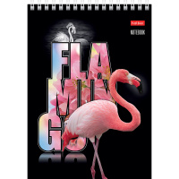 Блокнот А5 80л "Птица Дивная" клетка, на спирали, 3D лак матовая ламинация, 2 дизайна 061435