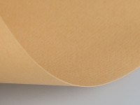 Бумага для пастели 70х100см 160г/м2 песочная 15011573