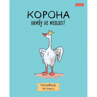Тетрадь А5 48л клетка "Гусь-веселюсь. Выпуск №1" на скобе 5 дизайнов 48Т5В1/078589