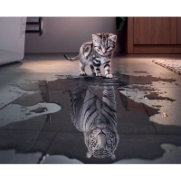 Алмазная мозаика 30х40см "Отражение" полная выкладка GB75797