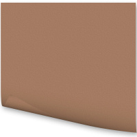 Бумага тонированная 50х70см 300г/м2 светло-коричневая 6175