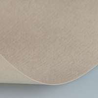 Бумага для пастели 50х65см 160г/м2 жемчужная (хлопок 45%) 15011493