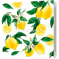 Набор салфеток для декупажа 33х33мм 20шт Lemon NEW трехслойные 1002016