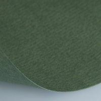 Бумага для пастели 50х65см 160г/м2 виридоновая зеленая (хлопок 45%) 1л. 15011471