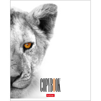 Тетрадь А5 48л клетка "Кто здесь? Выпуск №1" на скобе выборочный лак 5 дизайнов 48Т5вмВ1/050388