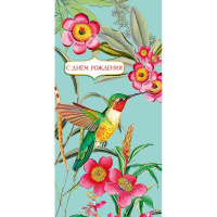 Конверт для денег "С Днем Рождения!" 167х83мм 0318.808