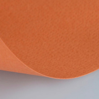 Бумага для пастели 50х65см 160г/м2 охра (хлопок 45%) 15011495