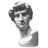 Бюст Давида Микеланджело 30х28х46см 10-123