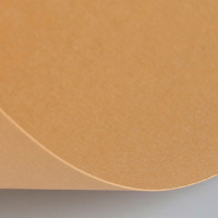 Бумага для пастели А4 160г/м2 песочная (хлопок 45%) 15723149