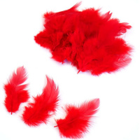 Набор перьев 100шт/уп., красный Y7468-18