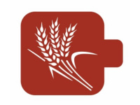 Трафарет пластиковый 9х9см с ручкой М9Фл-97