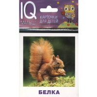 Карточки для детей с подсказками "Кто живёт в лесу?" 14стр. Ходюшина Н.П. 978-5-8112-6430-8
