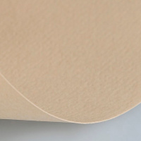 Бумага для пастели 50х65см 160г/м2 белая серая (хлопок 45%) 15011464