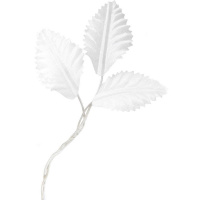 Листья декоративные 11х3,5см белые 10шт/уп. Y4899-17