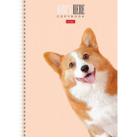 Тетрадь А4 96л клетка "Кто здесь?" на спирали матовая ламинация 4 дизайна 96Т4лВ1гр/066229