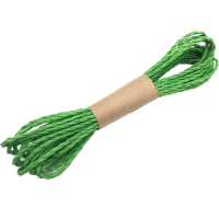 Шнур бумажный 10м, зеленый Y10853-24